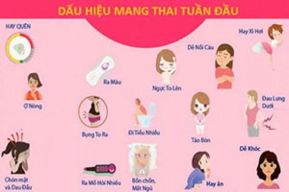 21 dấu hiệu mang thai (có bầu) sớm nhất