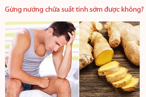 Gừng nướng chữa suất tinh sớm được không?